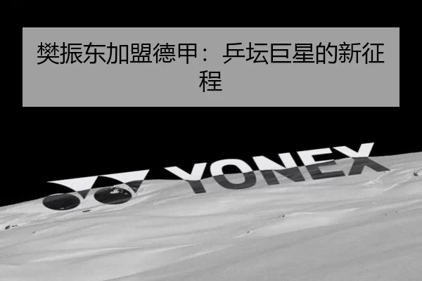 fan-zhen-dong-jia-meng-de-jia-ping-tan-ju-xing-de-xin-zheng-cheng-2-994.jpg